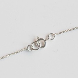 Raw Ruby necklace, sterling silver