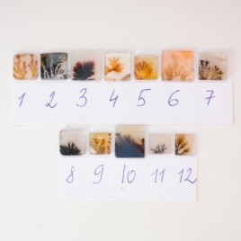 Dendritic agate ring, square, silver or gold