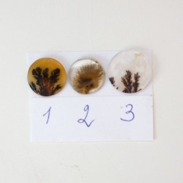 Dendritic agate ring, round, solid gold